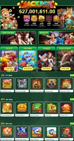 PK11 Game App