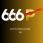 666P Game Icon