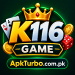 K116 Game Login
